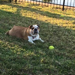 Meet your Posher, Kathy